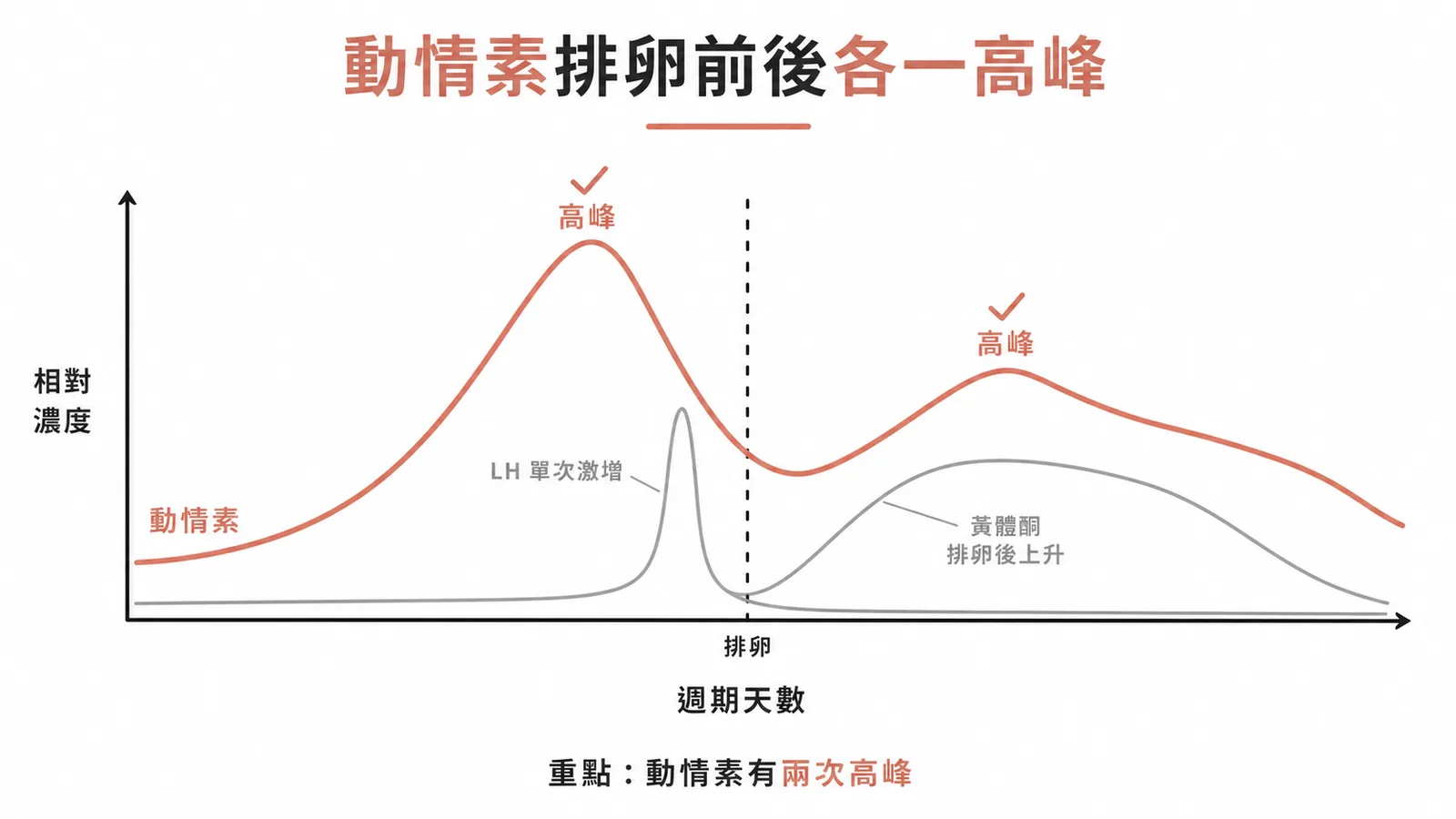 月經週期中動情素在排卵前與排卵後各出現一次高峰前高後低;LH在排卵前單次激增、黃體酮在排卵後上升