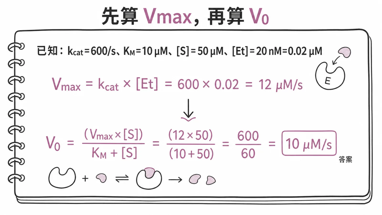 米氏方程式計算:Vmax=600×0.02=12 μM/s;V0=(12×50)/(10+50)=10 μM/s