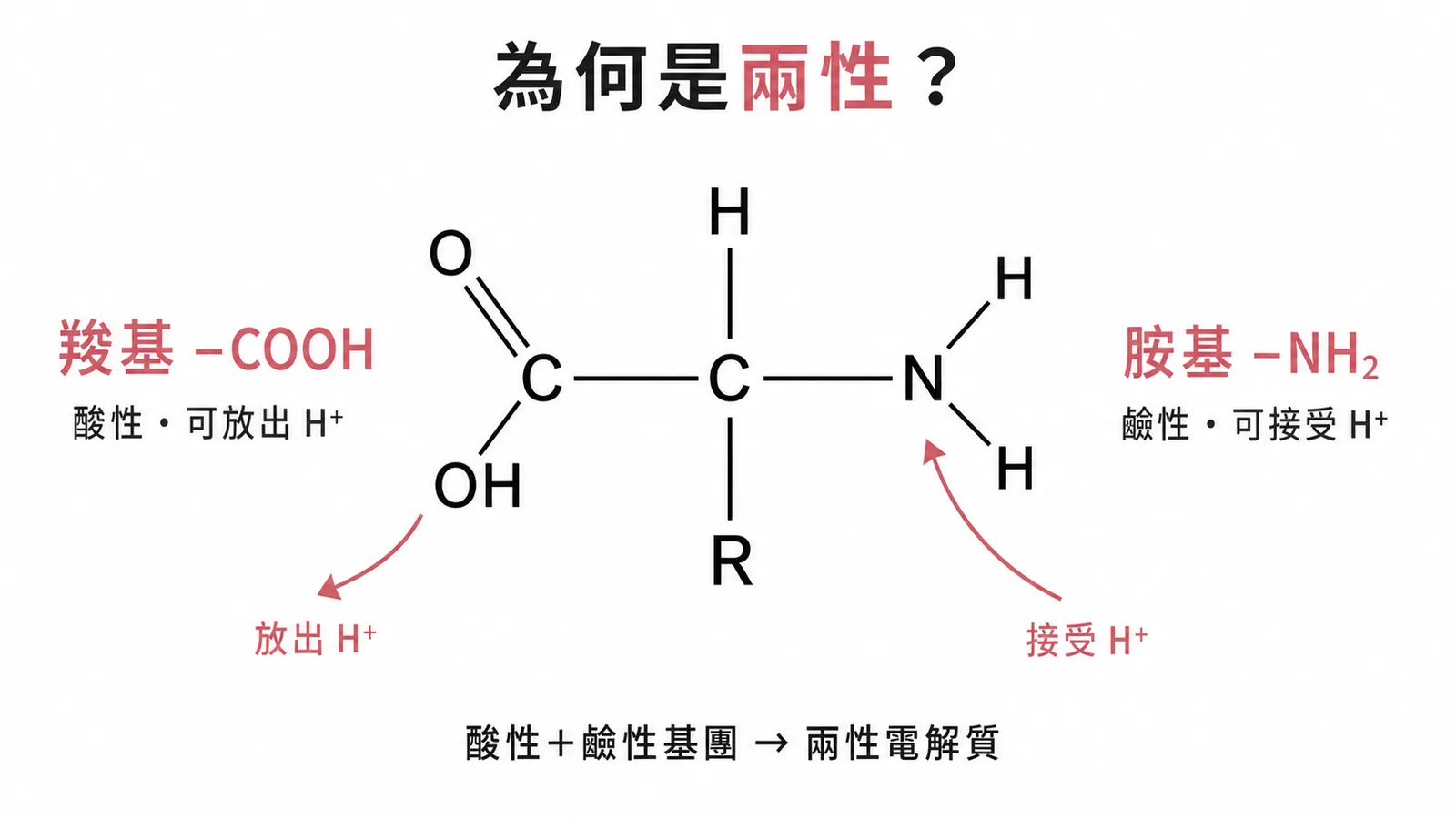 胺基酸同時有酸性羧基(–COOH)與鹼性胺基(–NH₂)，故為兩性電解質