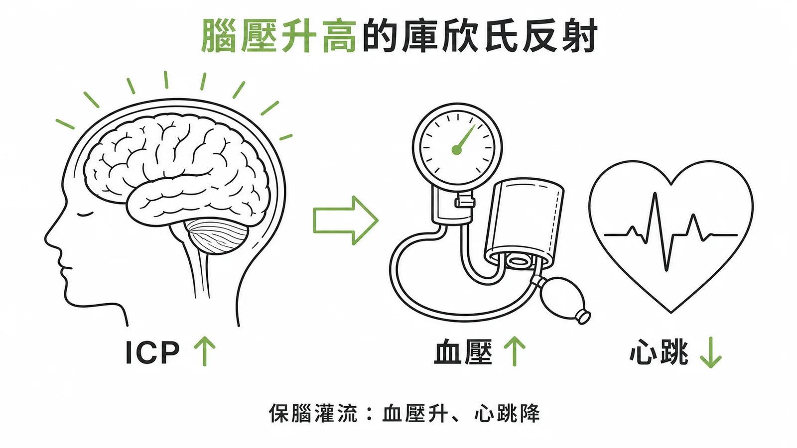 庫欣氏反射：顱內壓升高導致血壓上升與心跳減慢