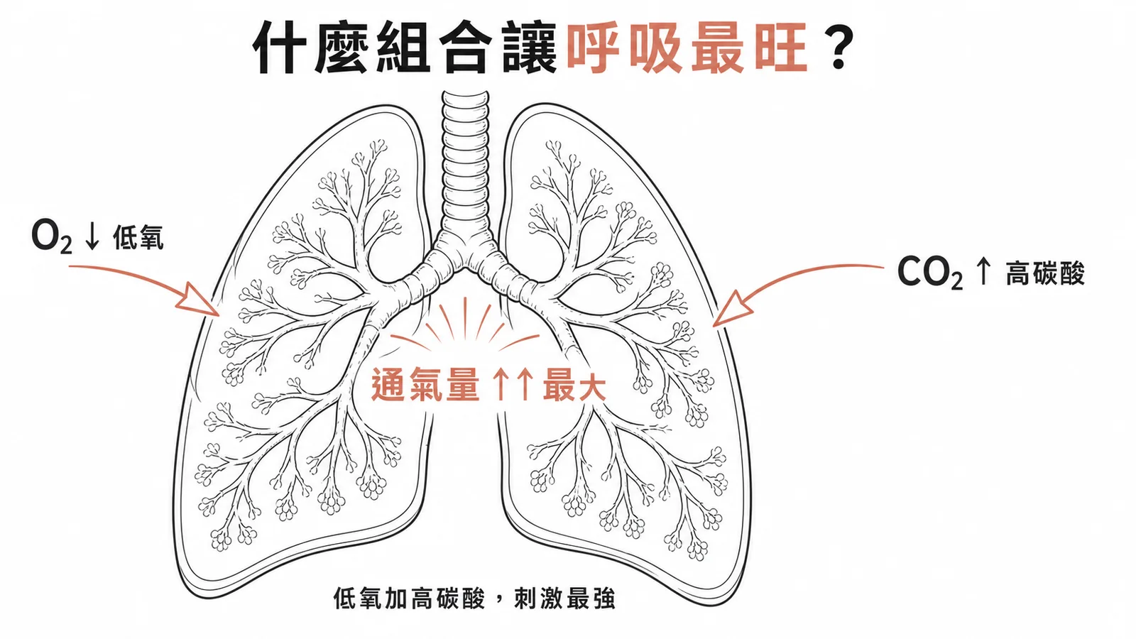 低氧加高二氧化碳雙重刺激產生最大通氣量