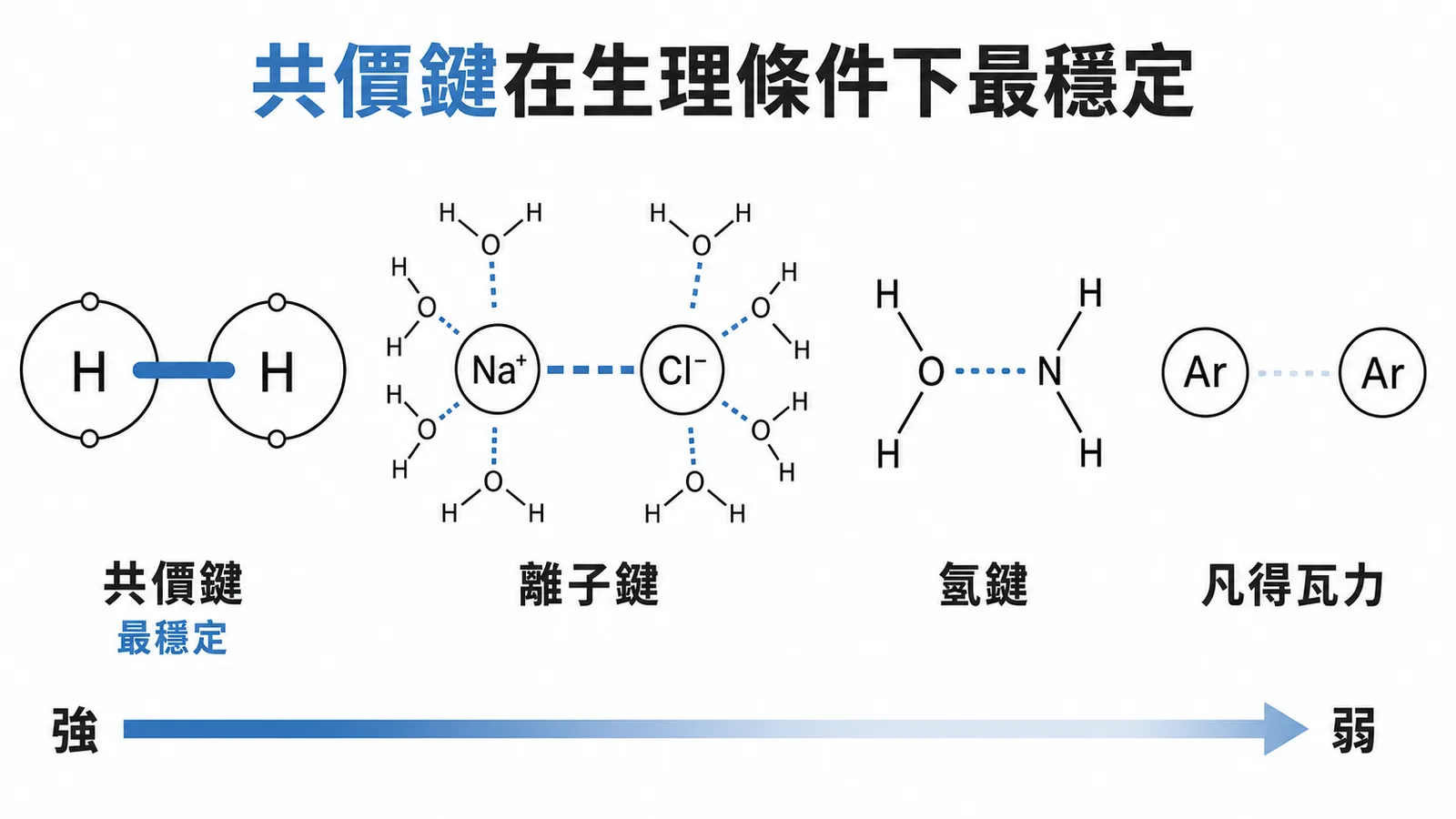 生理條件下四種化學鍵穩定度由強到弱的比較