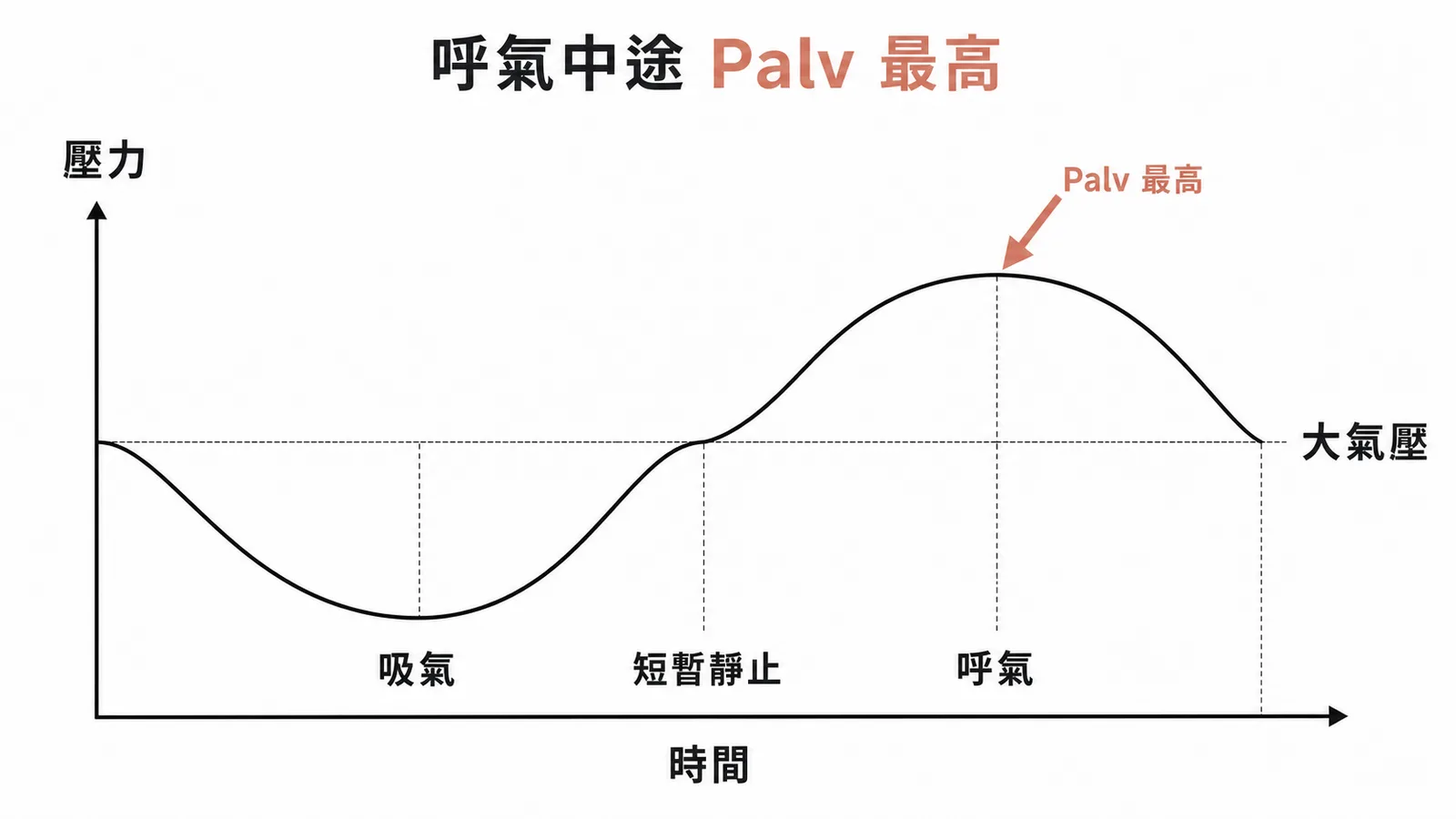 呼氣中途肺泡內壓達最高點的呼吸循環壓力曲線