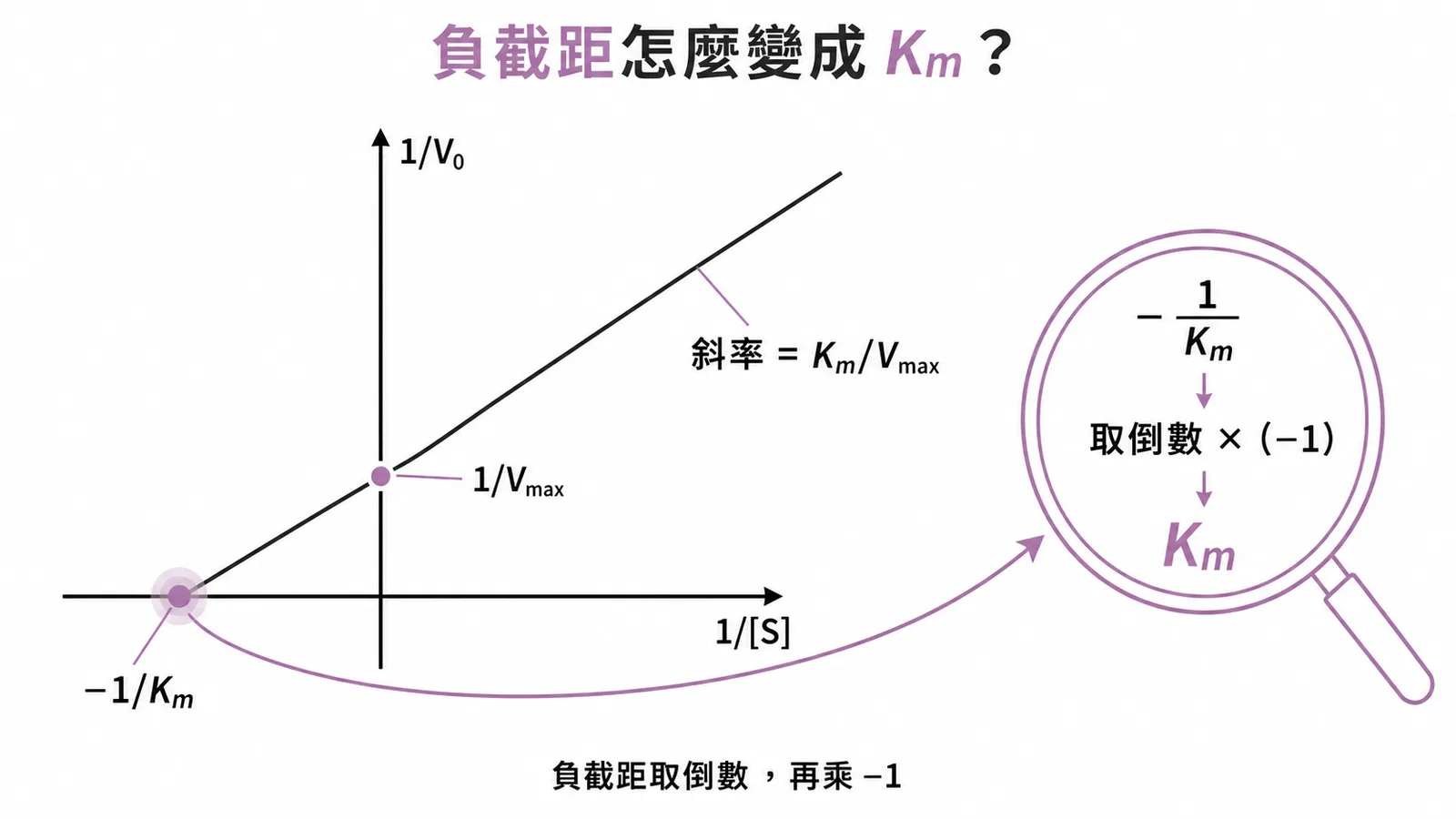 Lineweaver-Burk雙倒數圖X軸截距為-1/Km，取倒數乘-1得Km