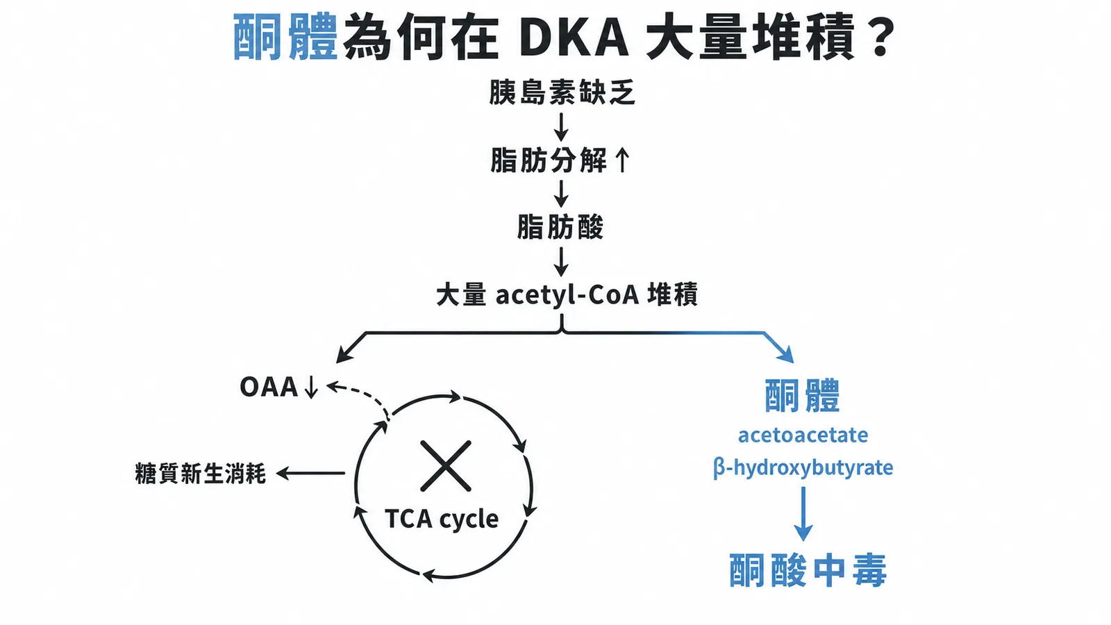 DKA時acetyl-CoA因OAA不足無法進入TCA cycle而轉化為酮體堆積