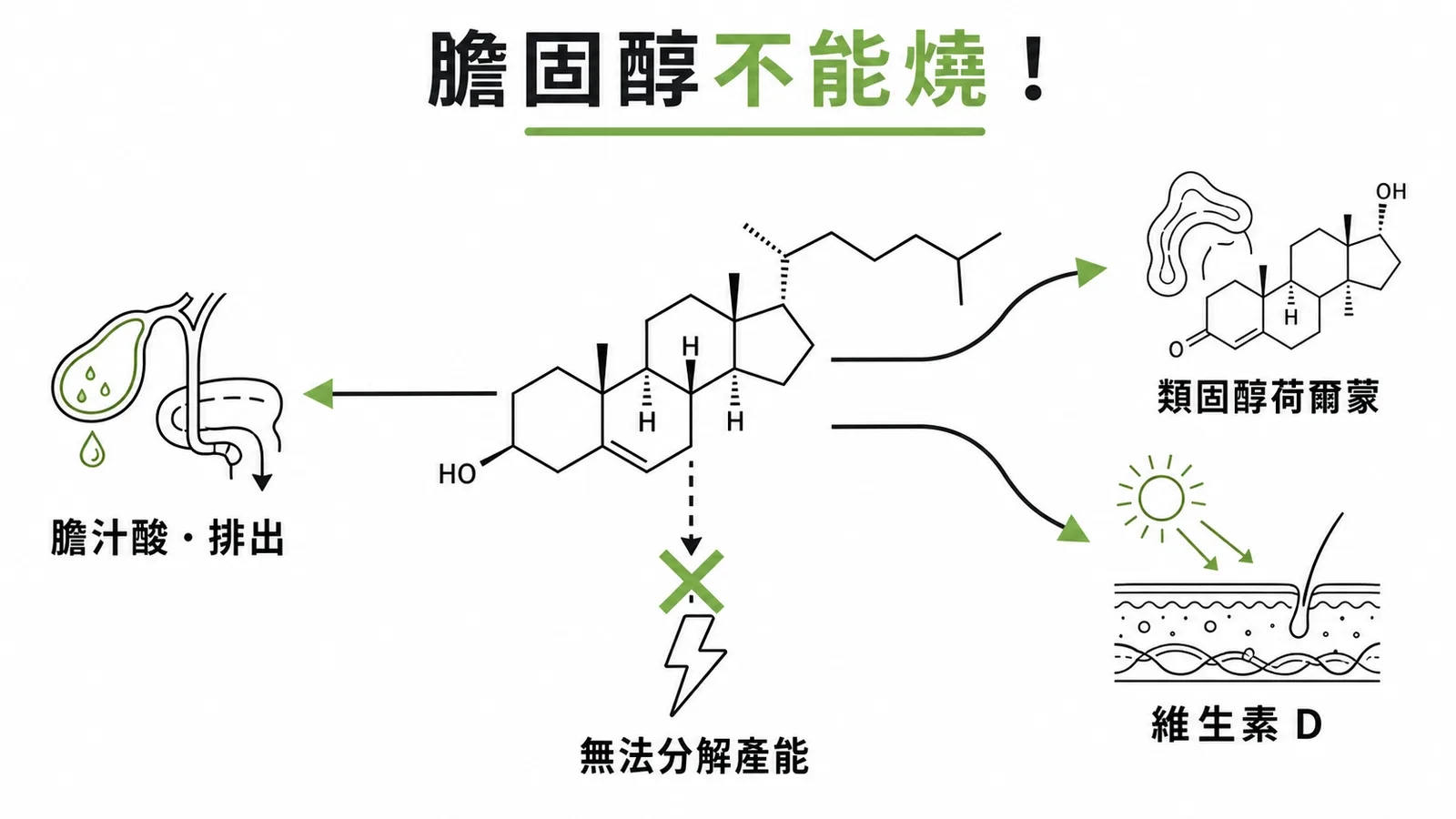 膽固醇無法被分解產能的三條代謝出路示意圖
