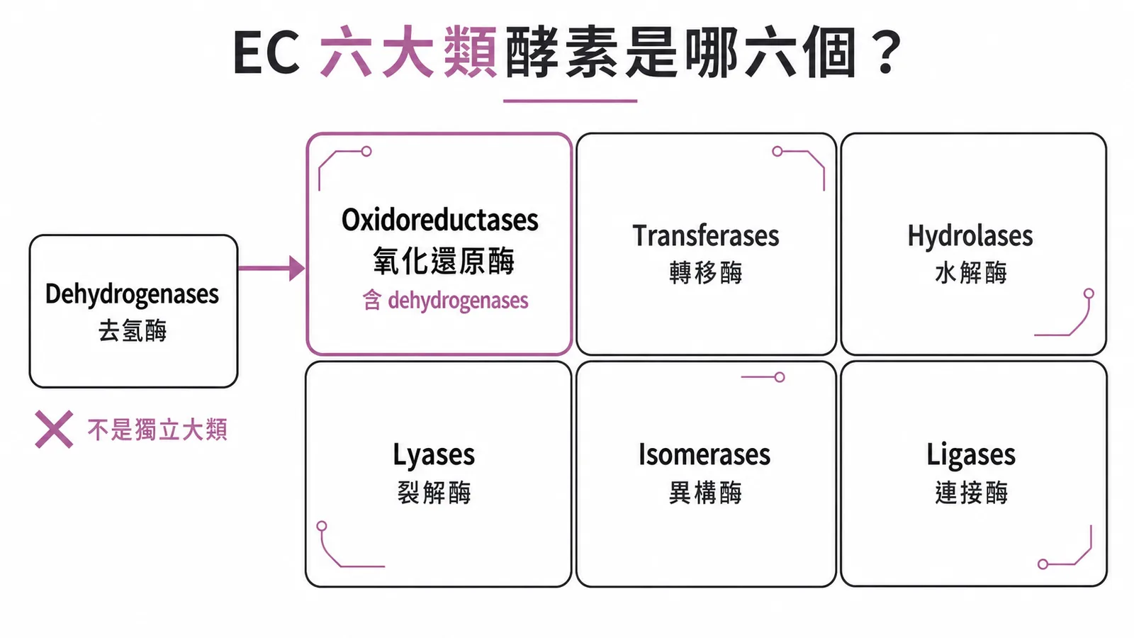 EC酵素六大類別分類圖：Dehydrogenases不是獨立大類，屬於Oxidoreductases子類