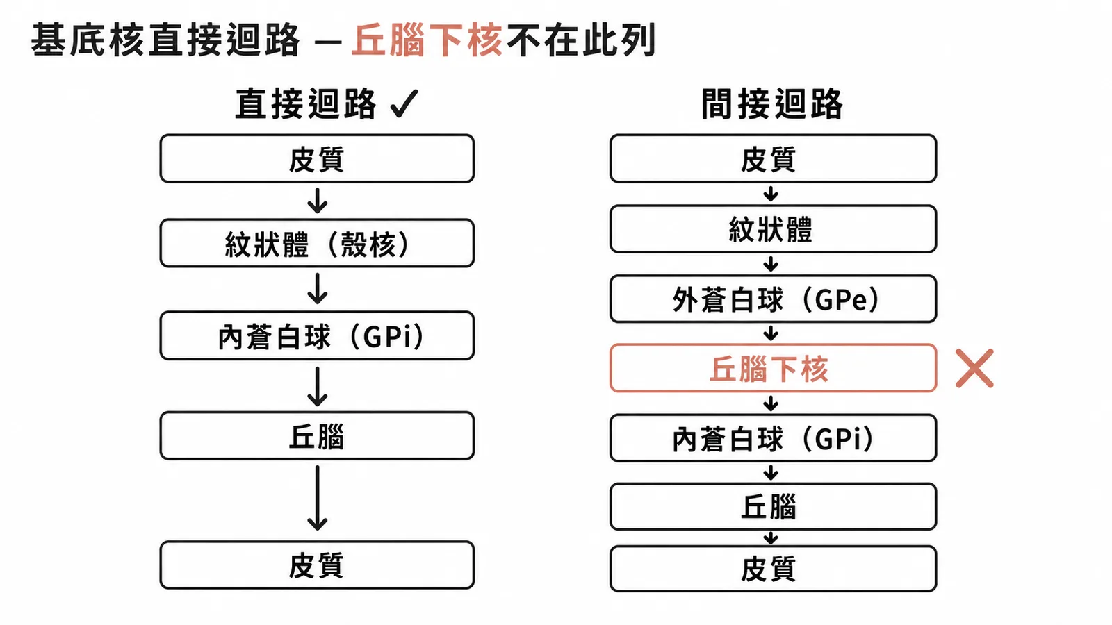 基底核直接迴路與間接迴路對比,丘腦下核屬間接迴路