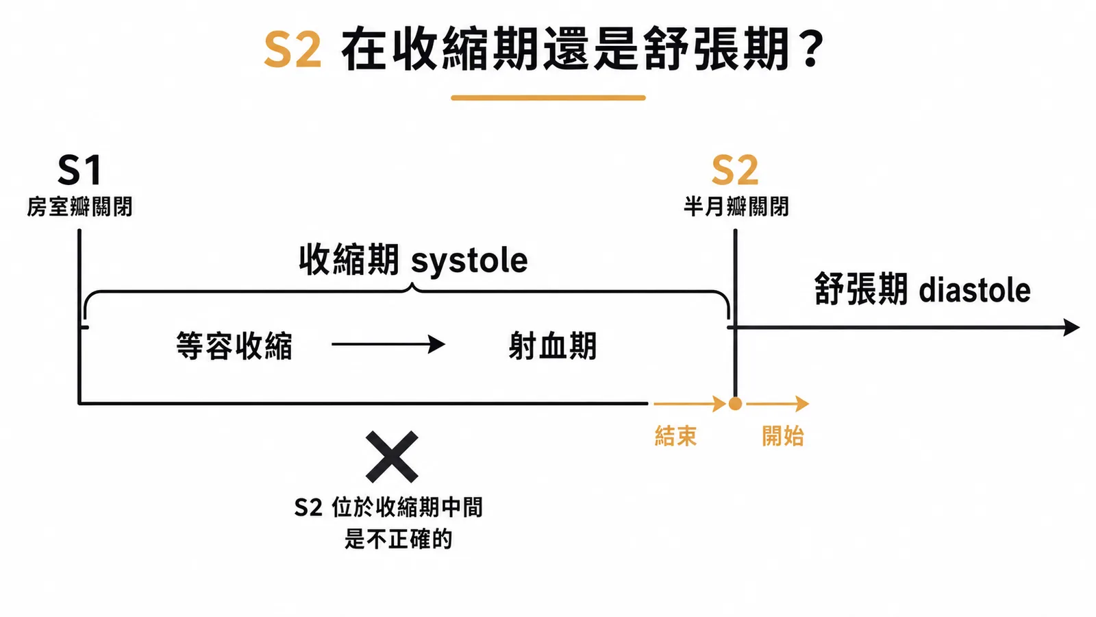 心臟週期時間軸S1收縮期S2舒張期示意圖