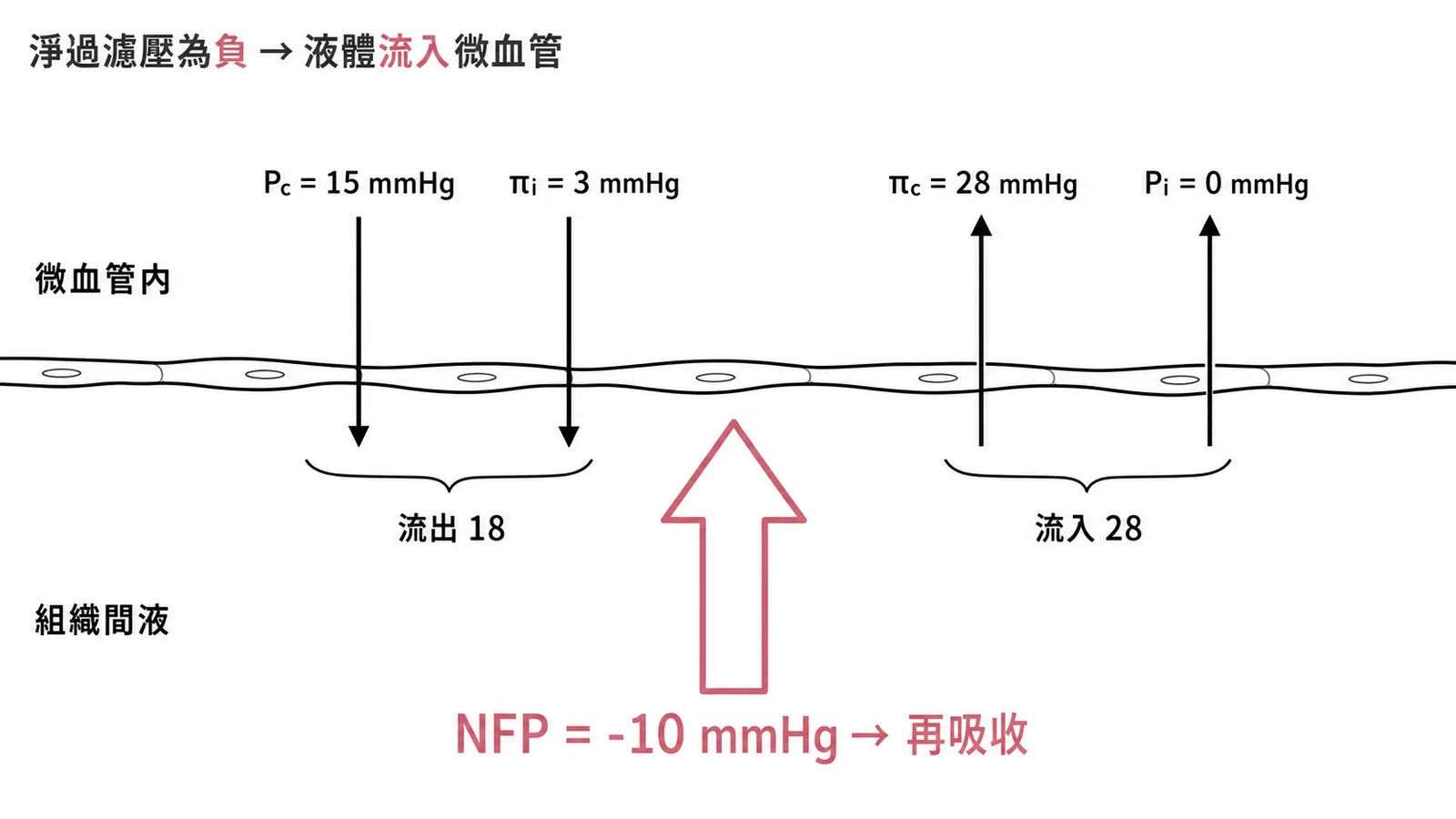 Starling力計算淨過濾壓為負值表示液體流入微血管再吸收