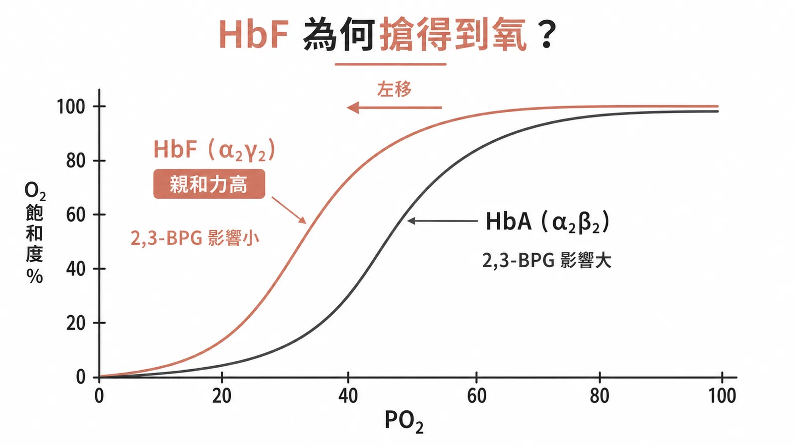 HbF與HbA氧解離曲線對比：HbF因γ鏈與2,3-BPG結合弱而左移，氧親和力較高