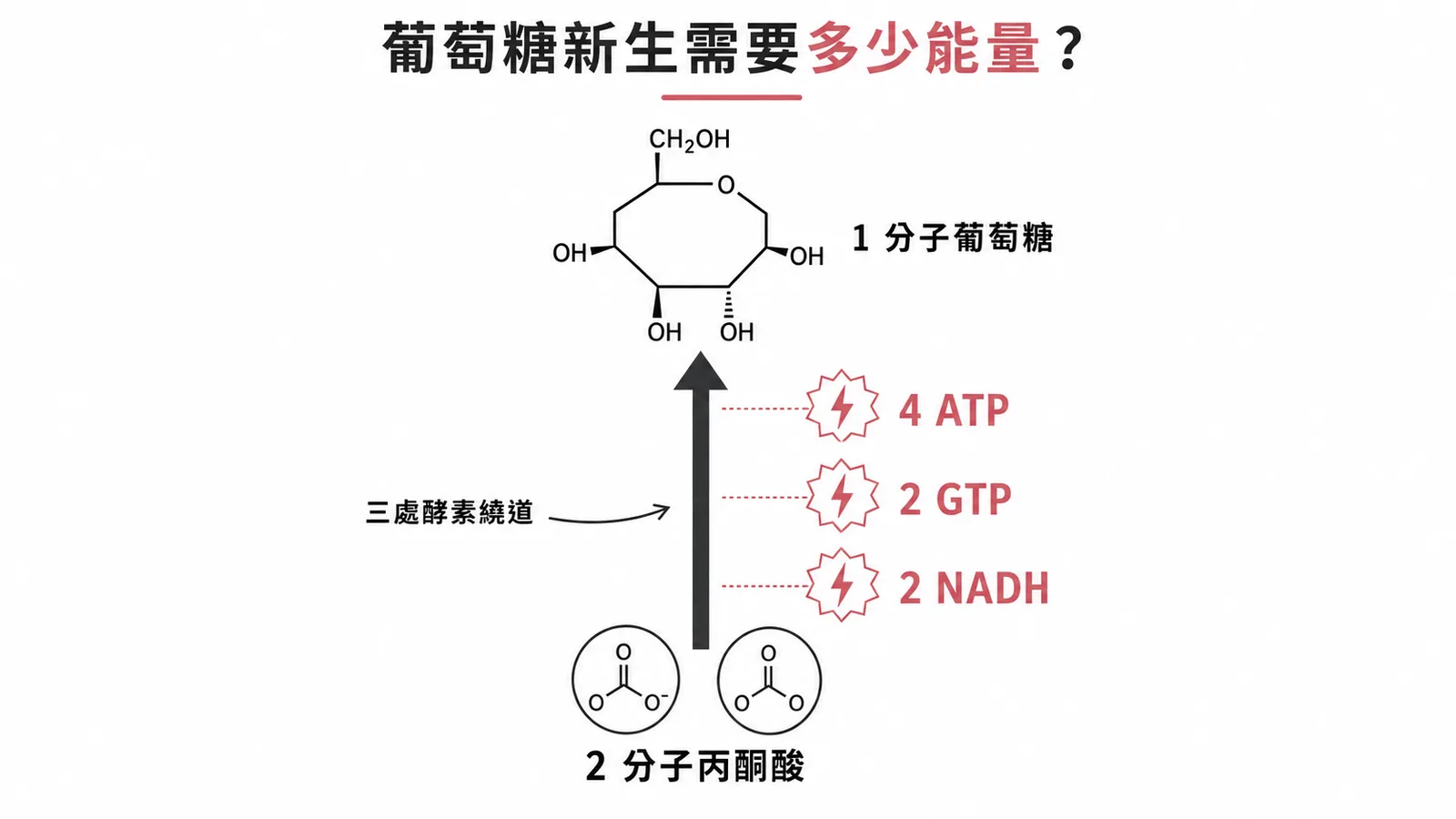 葡萄糖新生能量消耗 4ATP 2GTP 2NADH 示意圖