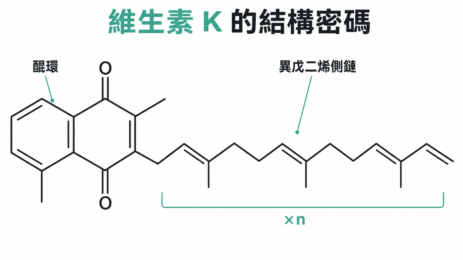 維生素 K 的化學結構：醌環加異戊二烯側鏈
