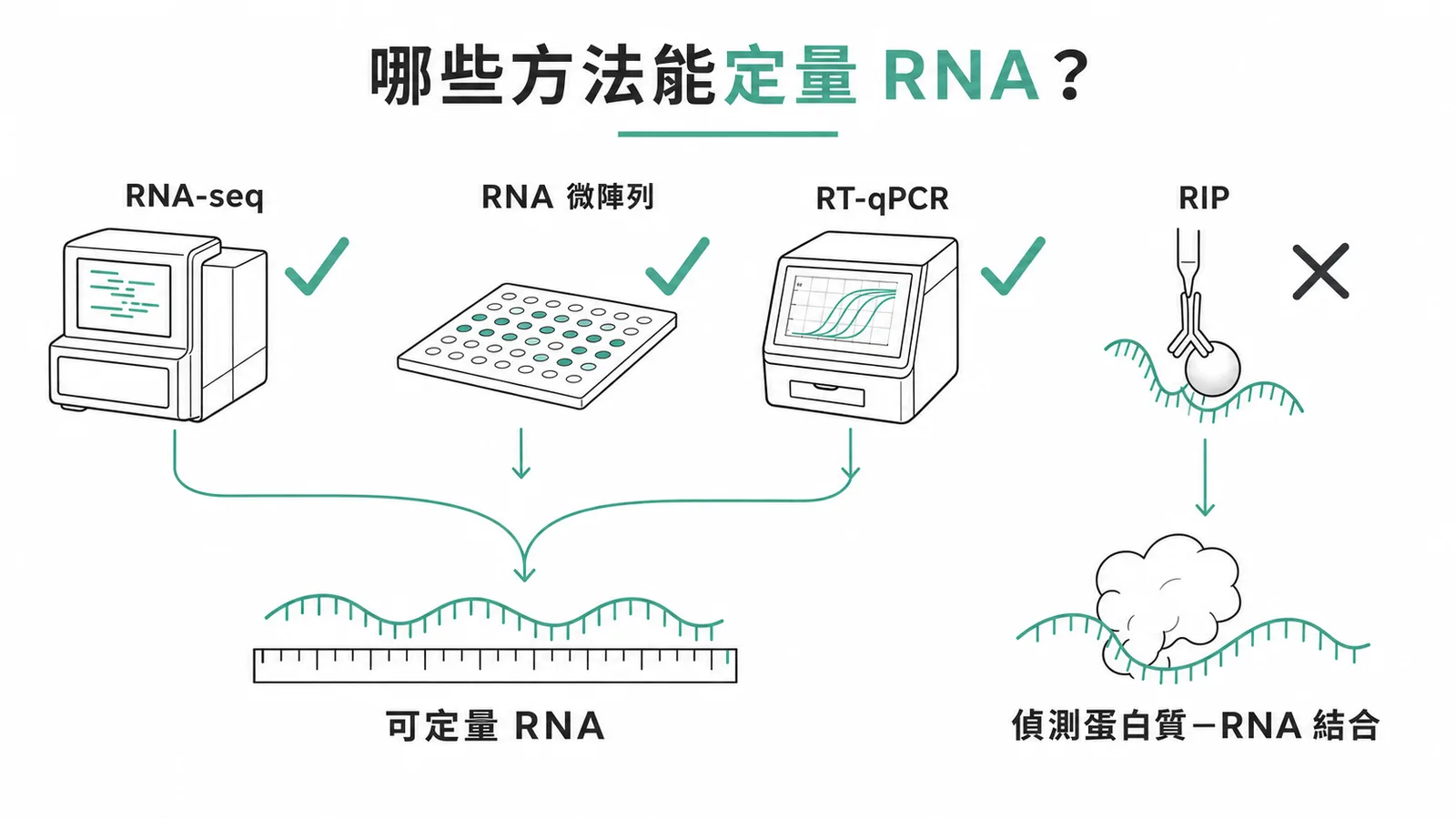 四種RNA技術比較：RNA-seq、RNA微陣列、RT-qPCR可定量RNA，RIP偵測蛋白質-RNA結合