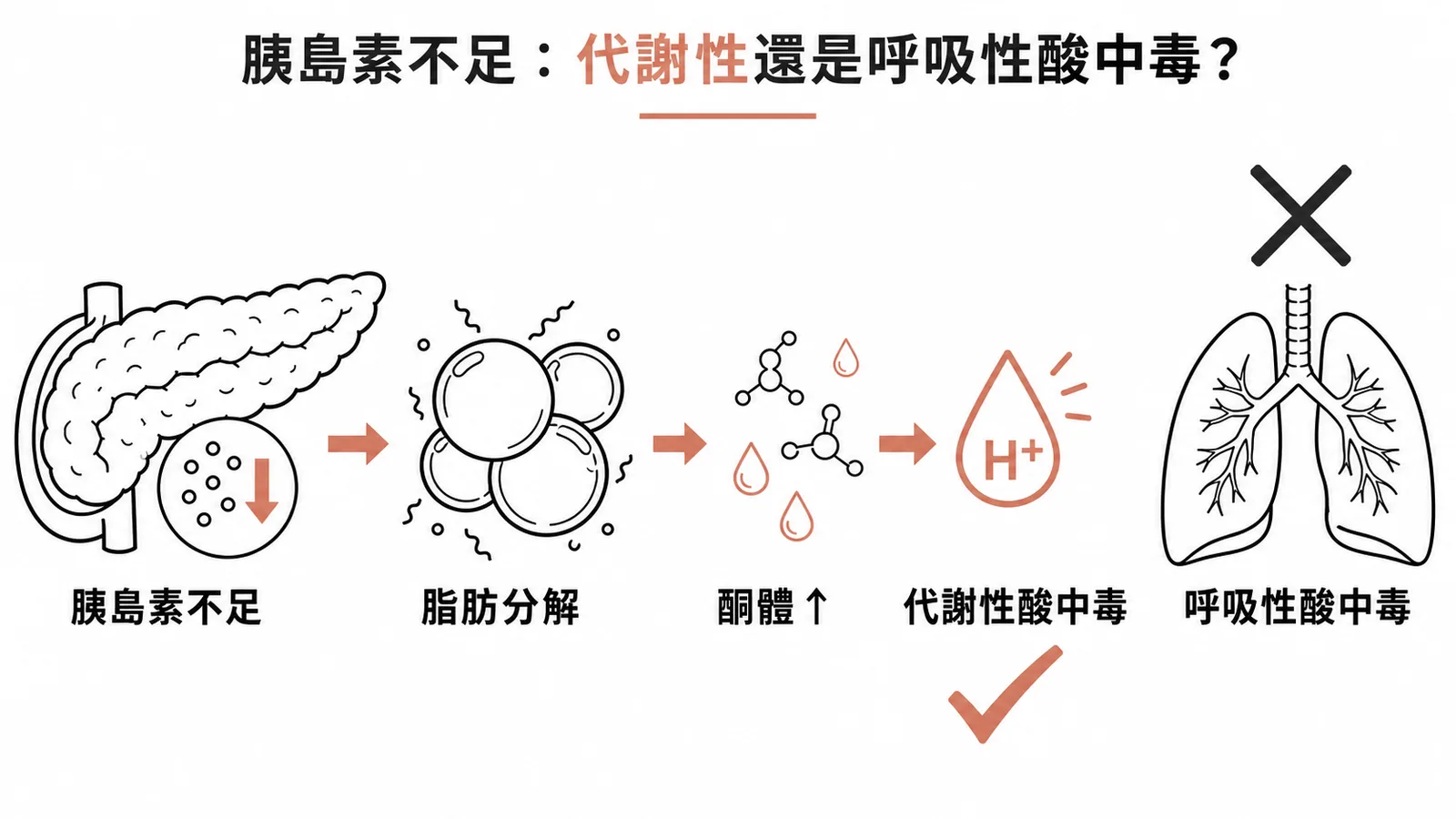 胰島素不足導致代謝性酸中毒而非呼吸性酸中毒的機轉