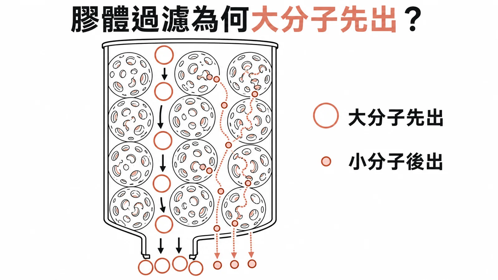 膠體過濾層析法中大分子先出小分子後出的原理