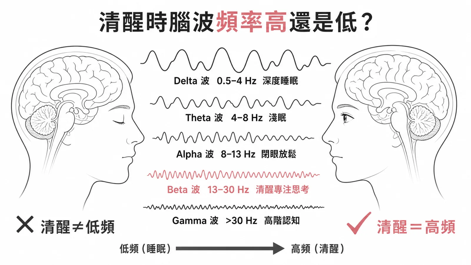 腦波頻率與意識狀態：清醒專注時為高頻Beta波，深度睡眠為低頻Delta波