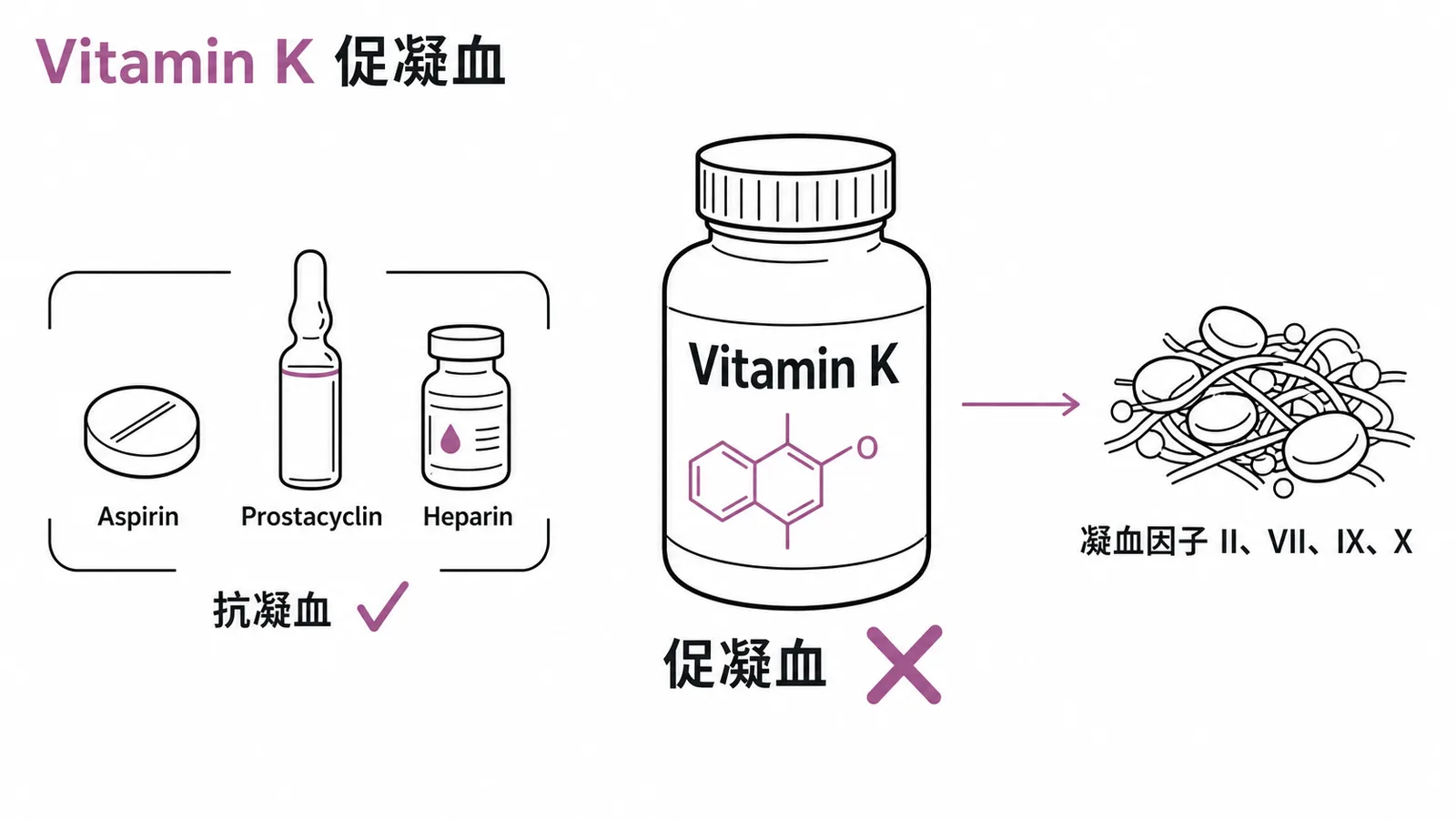 Vitamin K促凝血而非抗凝血示意圖