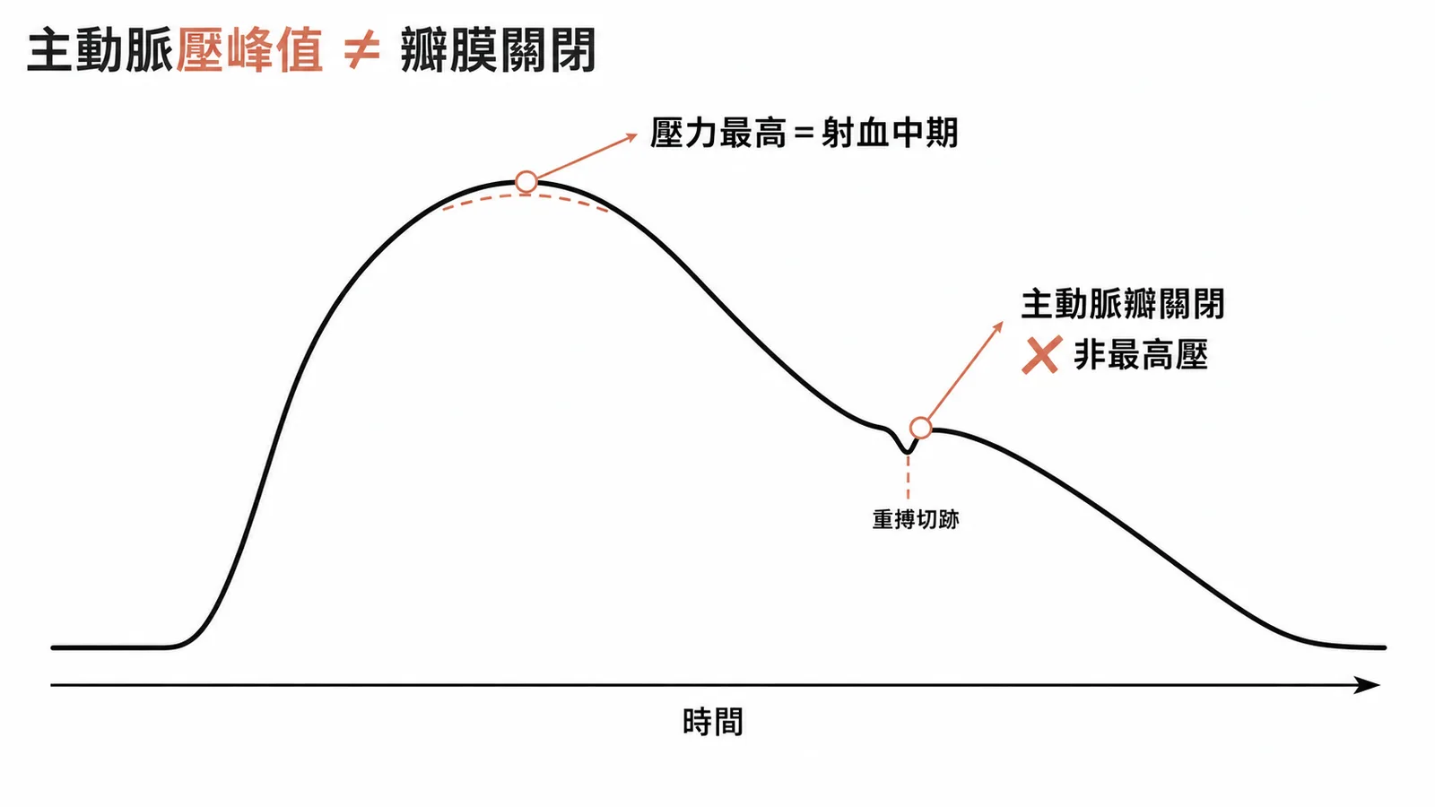 主動脈壓峰值在射血中期而非瓣膜關閉時