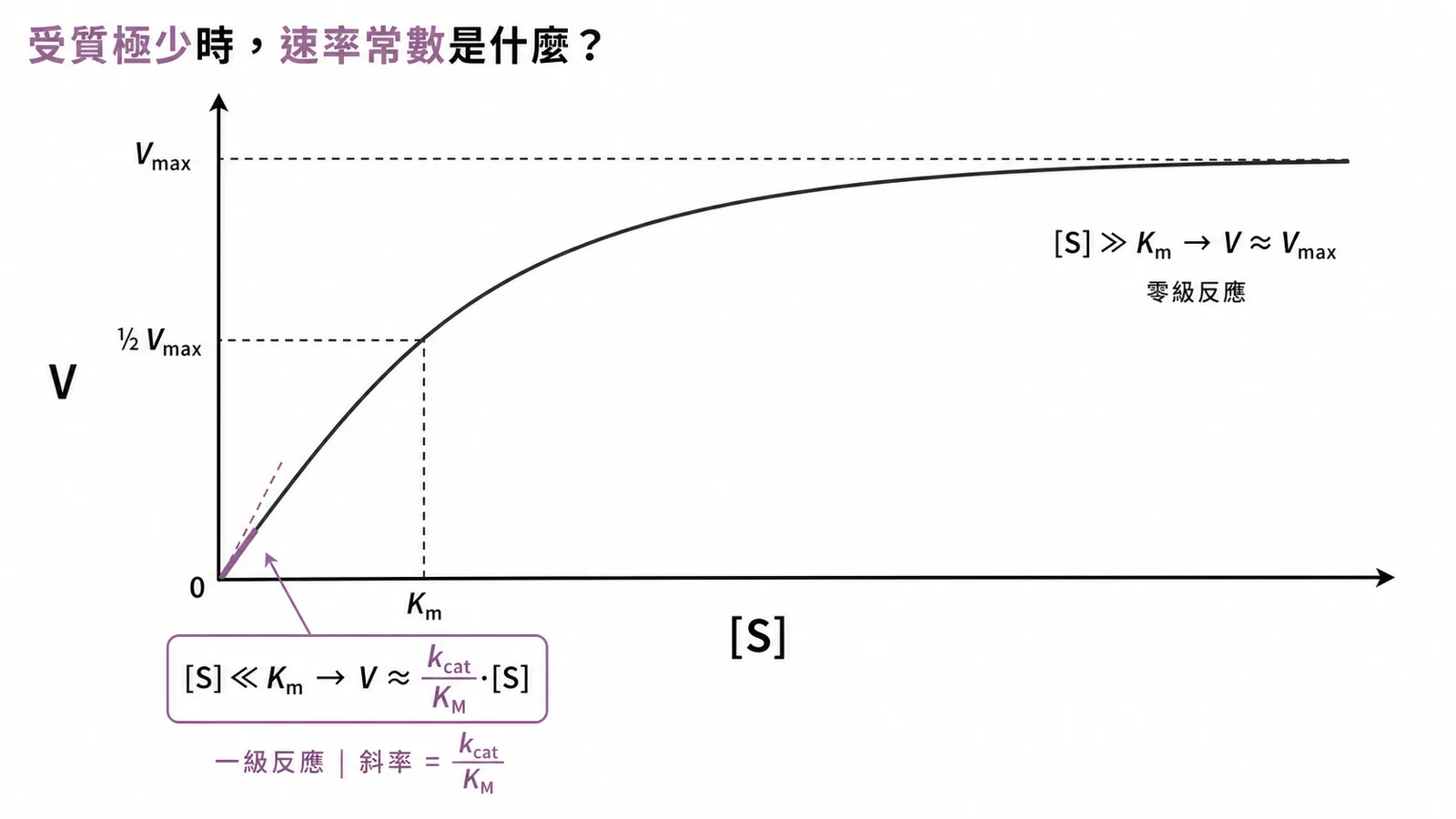 Michaelis-Menten曲線：低受質濃度時速率常數為kcat除以KM