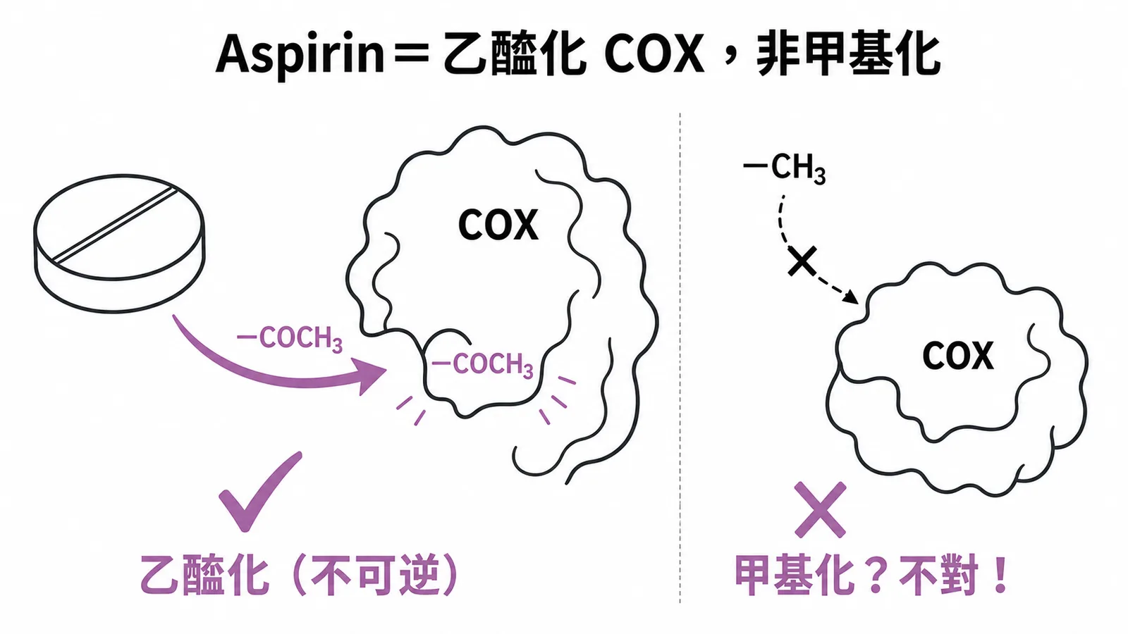 Aspirin 透過乙醯化不可逆抑制 COX 而非甲基化