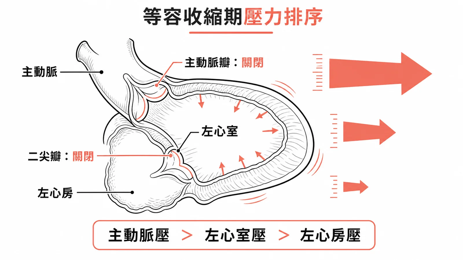 等容收縮期心臟三腔室壓力排序：主動脈壓大於左心室壓大於左心房壓