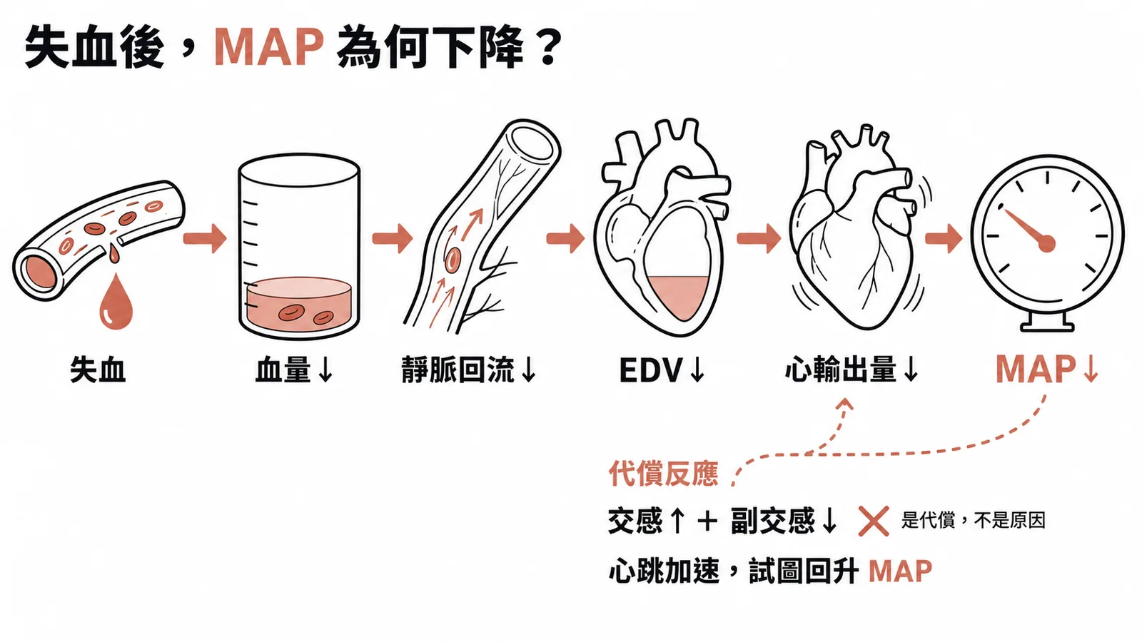 失血後平均動脈壓下降的因果鏈與代償反應對比示意圖