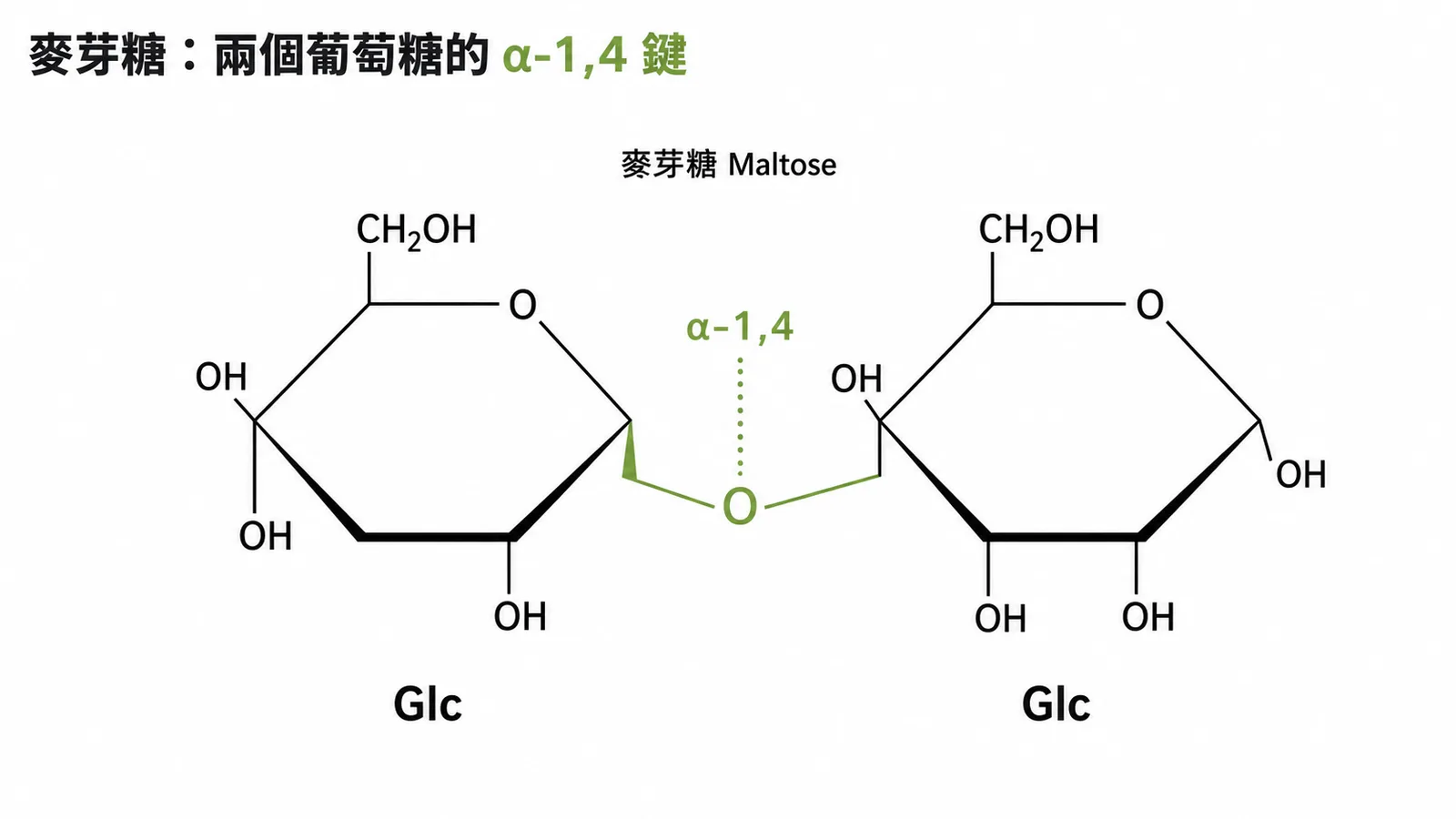 麥芽糖結構示意圖:兩個葡萄糖以α-1,4醣苷鍵連接