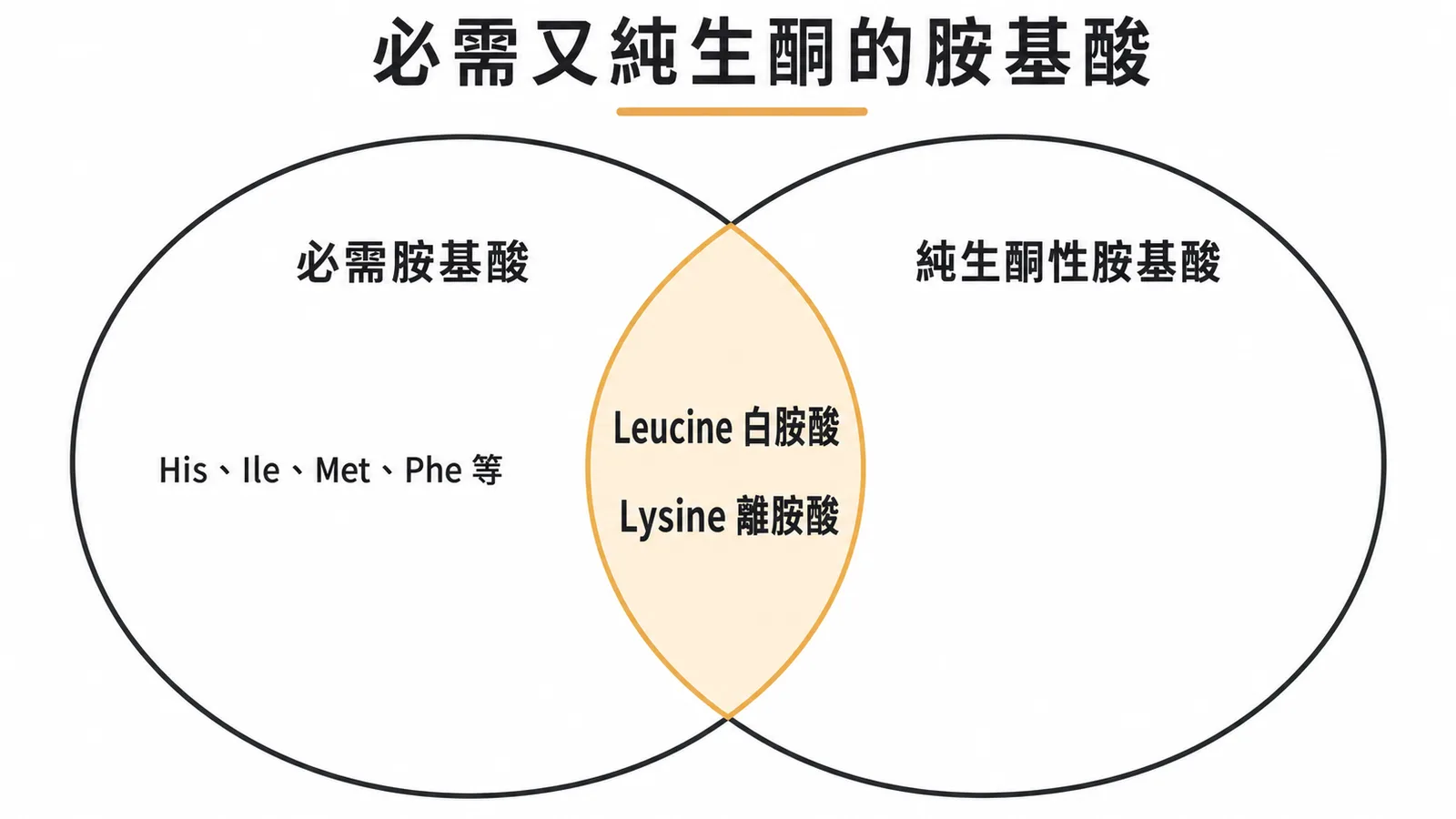 白胺酸與離胺酸為唯二必需且純生酮性胺基酸