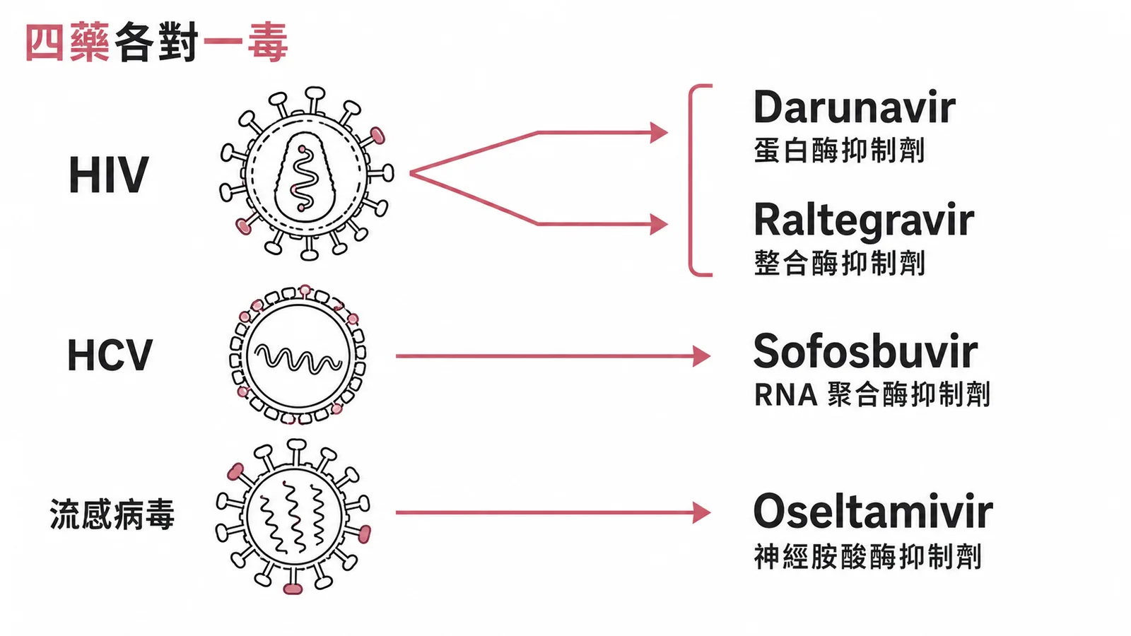 四種抗病毒藥物對應目標病毒：HIV用Darunavir和Raltegravir，HCV用Sofosbuvir，流感用Oseltamivir