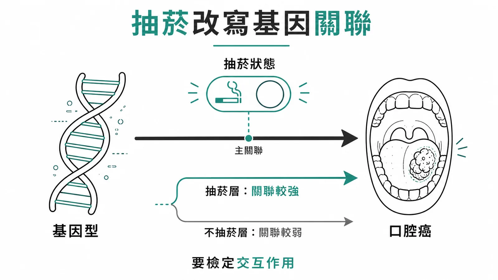 關聯性因抽菸狀態而異即效應修飾,應檢定基因型與抽菸的交互作用
