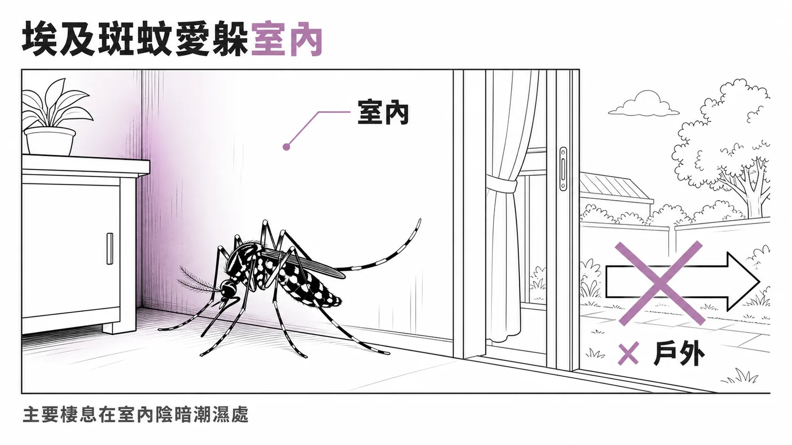 埃及斑蚊棲息室內的家蚊特性示意圖