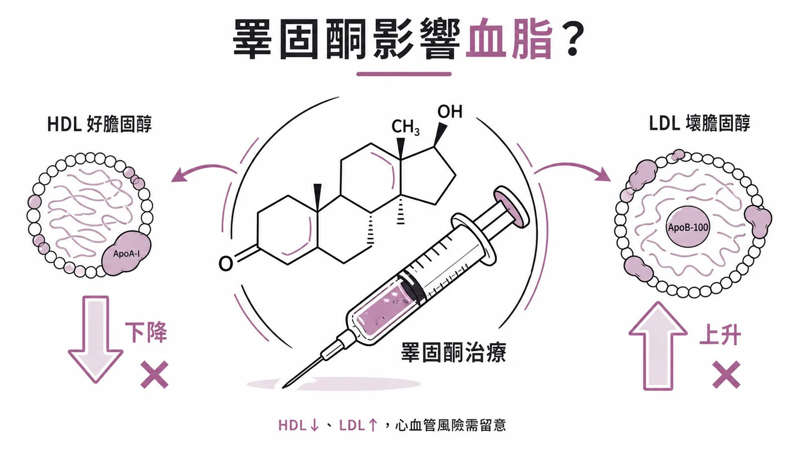 睪固酮對血脂的負面影響：降低 HDL、升高 LDL