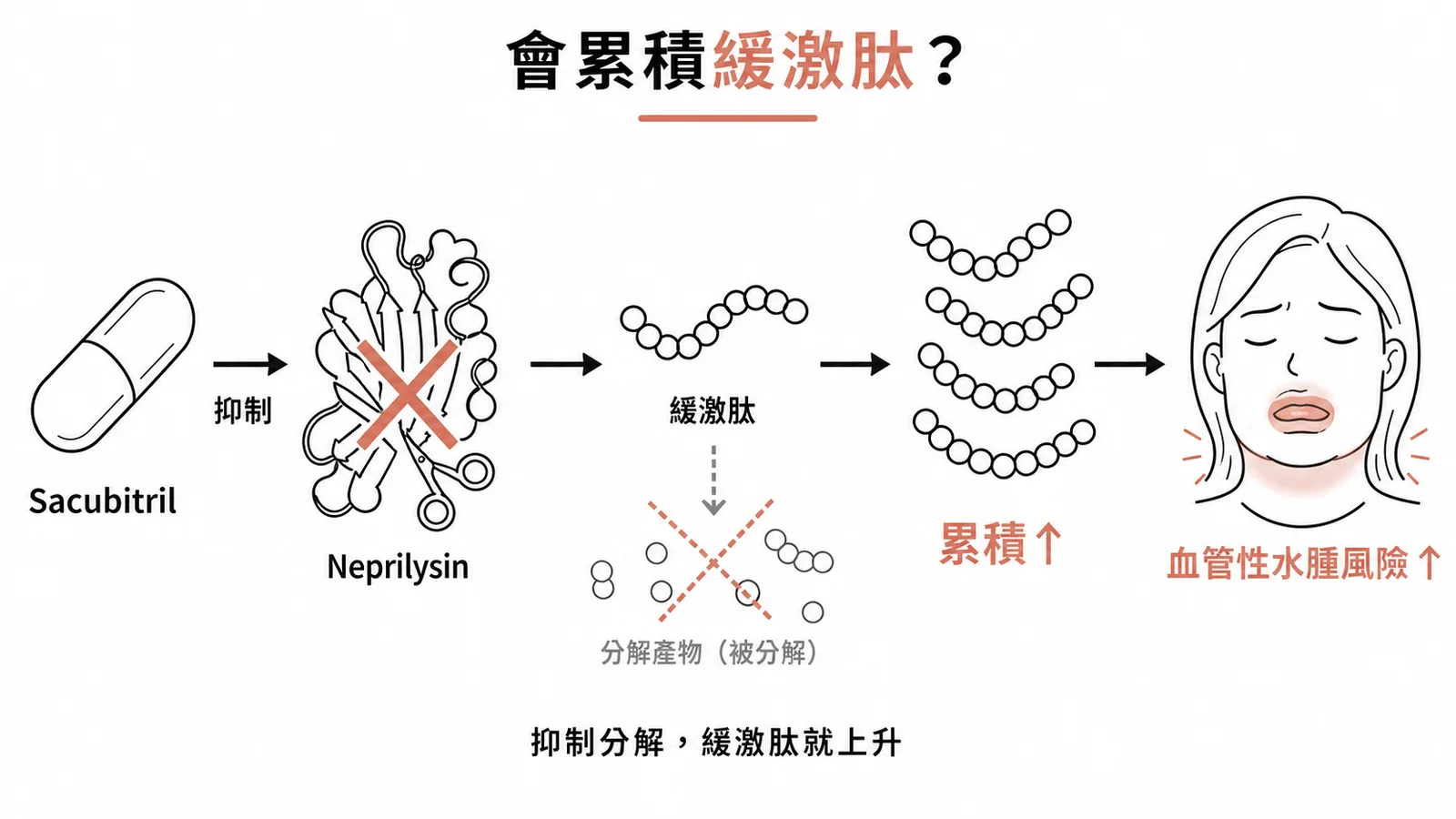 Sacubitril 抑制 Neprilysin 導致 bradykinin 累積的機轉