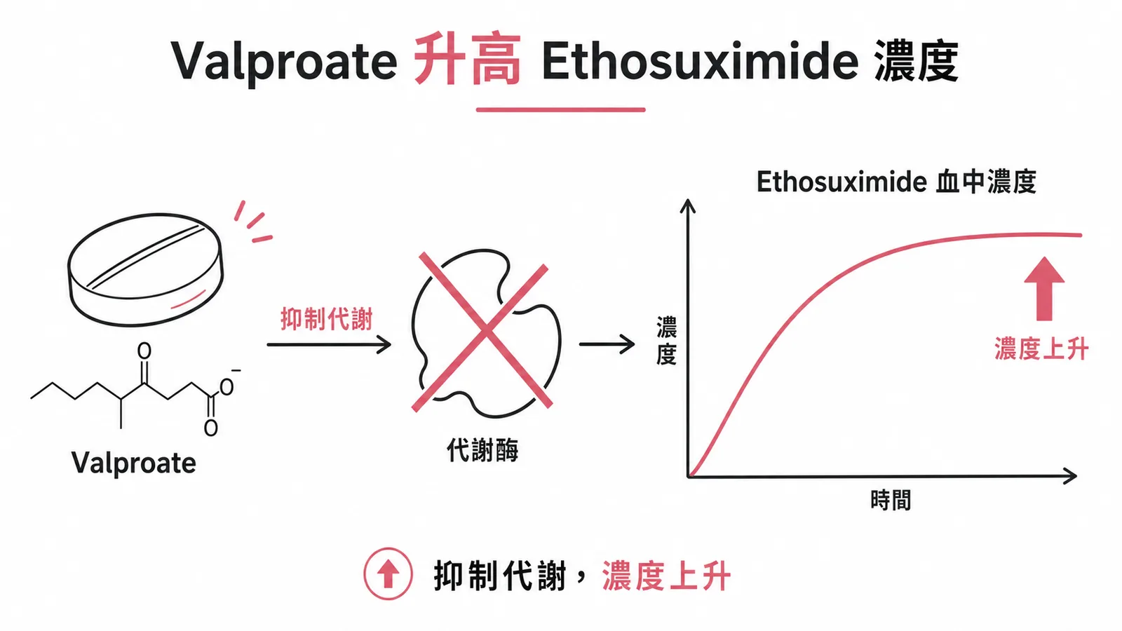 Valproate 抑制 ethosuximide 代謝導致血中濃度升高示意圖