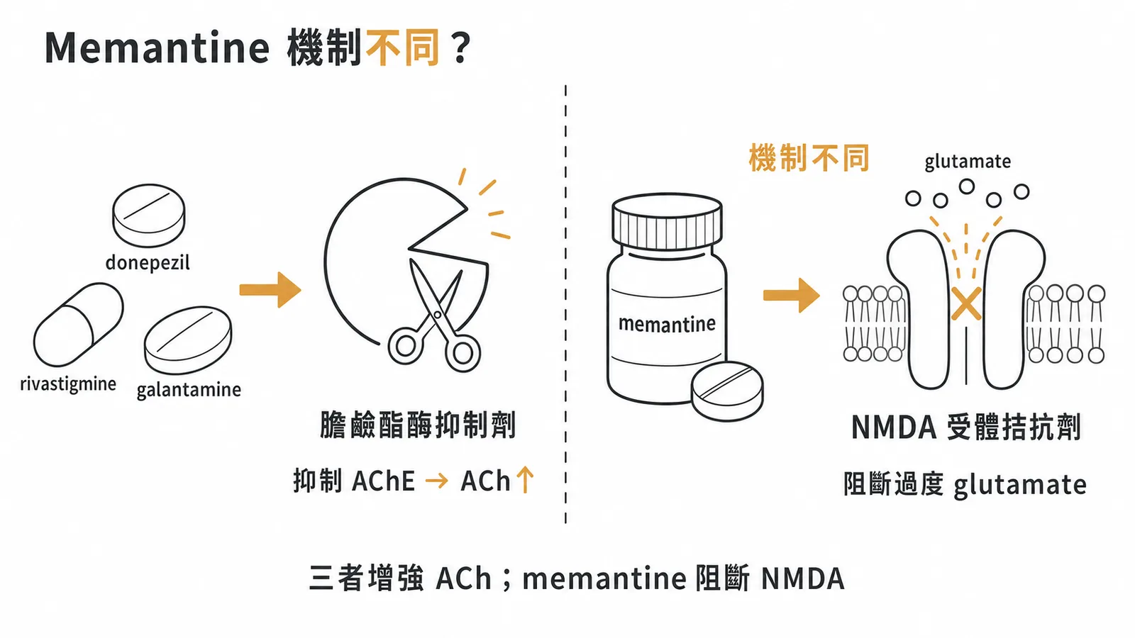阿茲海默症藥物兩大類:膽鹼酯酶抑制劑與 NMDA 受體拮抗劑分類示意圖