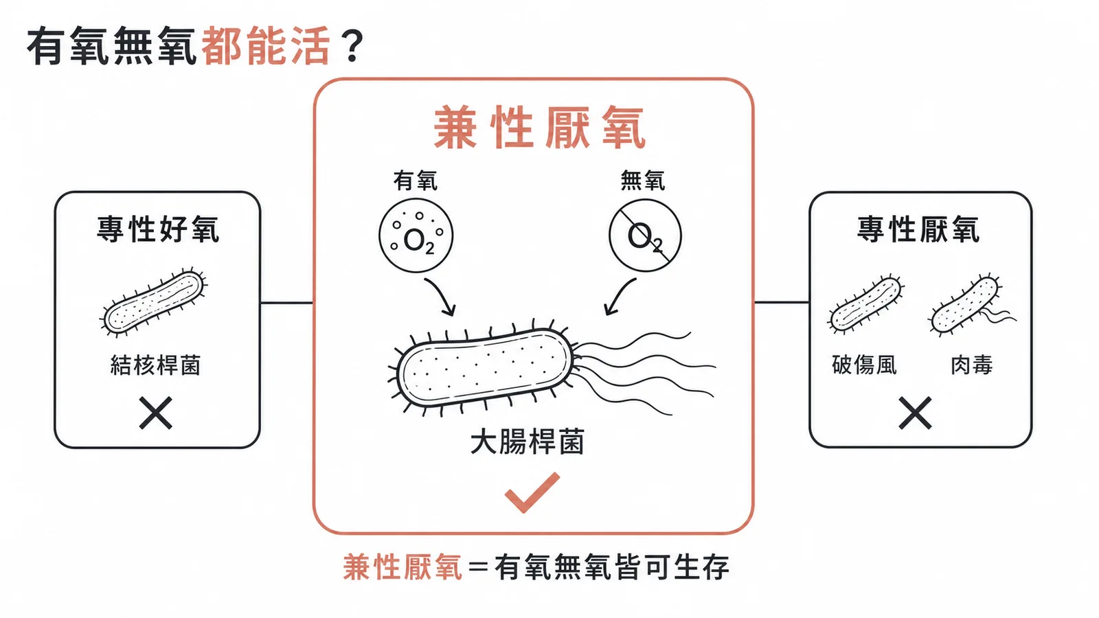 細菌對氧氣需求分類：大腸桿菌為兼性厭氧菌
