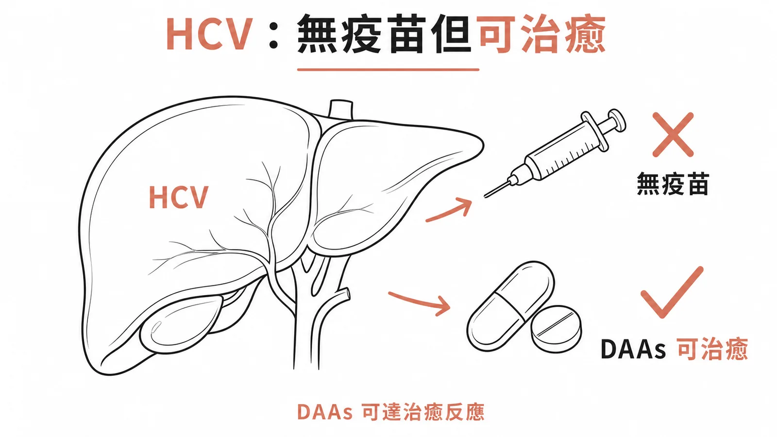 C 型肝炎：唯一無疫苗但可被抗病毒藥物治癒的肝炎