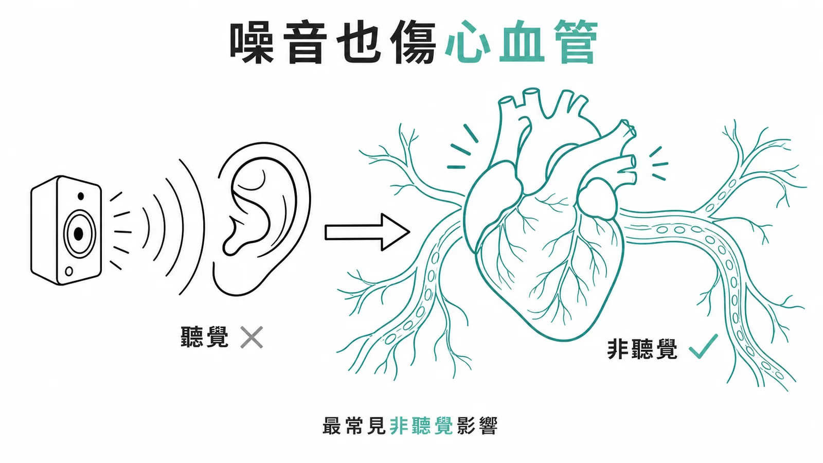 噪音的非聽覺健康影響以心血管疾病為代表示意圖