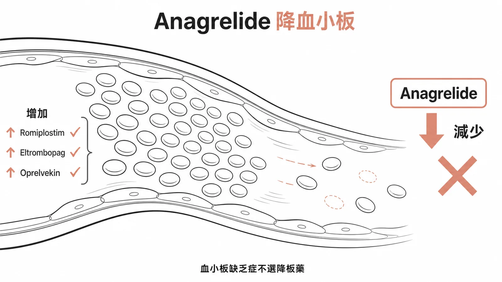 Anagrelide降血小板而非升血小板示意圖