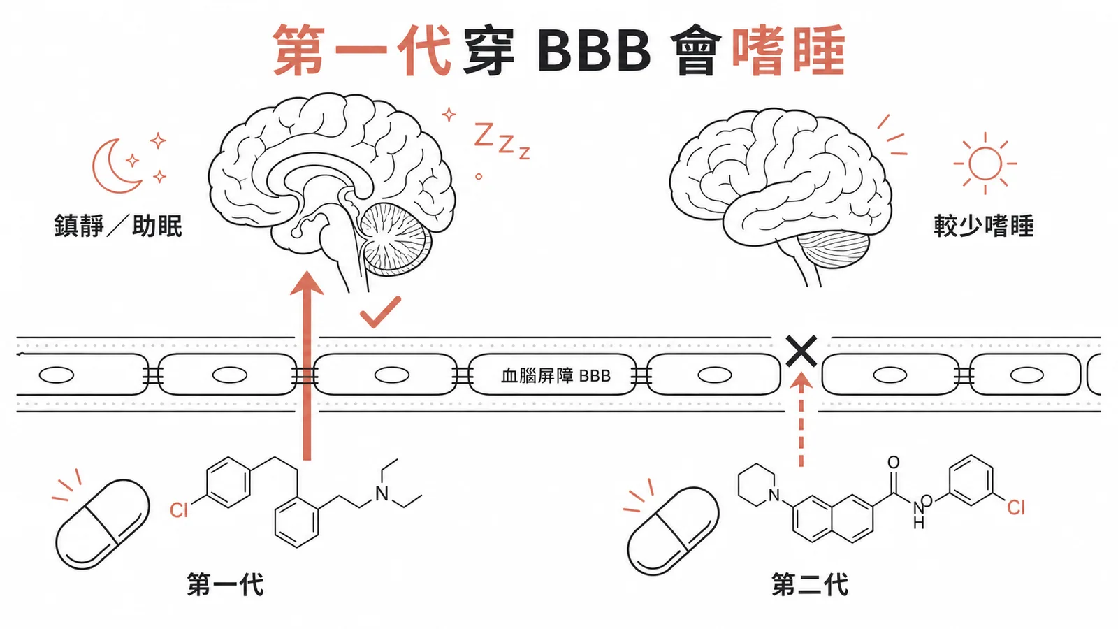 第一代抗組織胺穿透血腦屏障產生鎮靜作用可助眠示意圖
