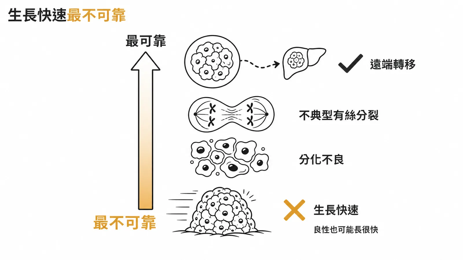 生長快速是判斷惡性腫瘤最不可靠的特徵遠端轉移才最可靠