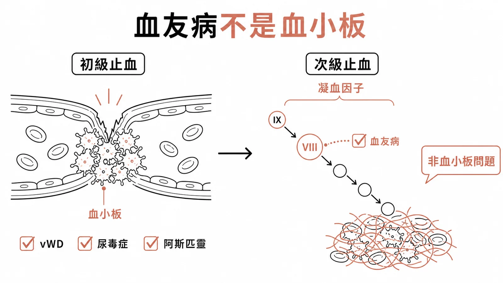 血友病是凝血因子缺乏屬次級止血異常而非血小板功能缺失