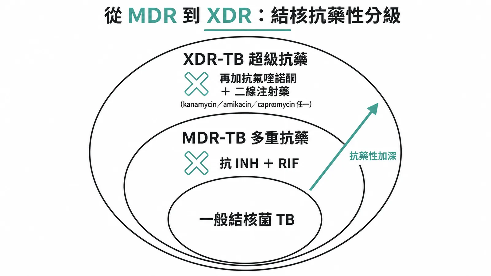 結核菌抗藥性從 MDR 到 XDR 的遞進分級示意