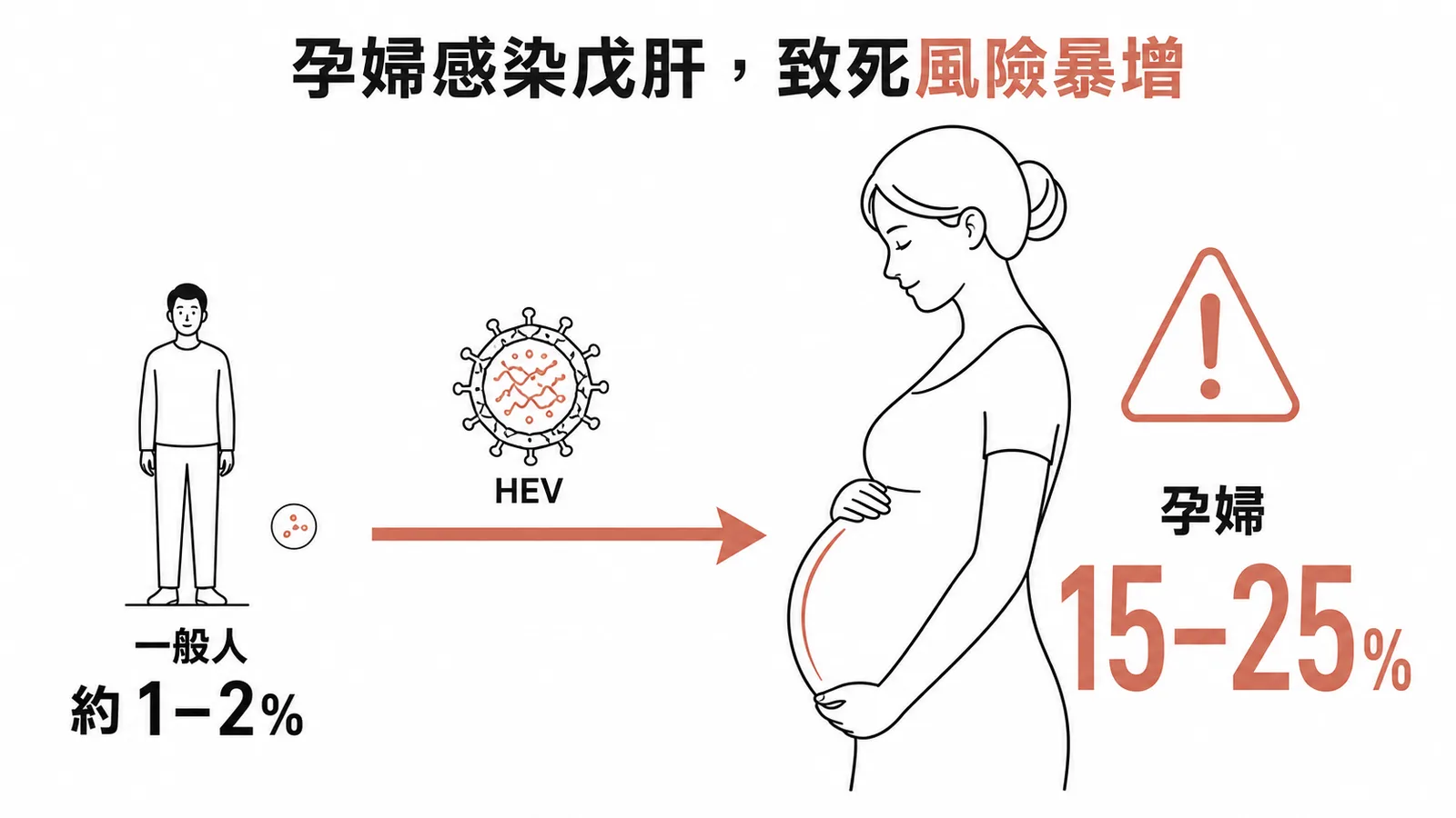 孕婦感染戊型肝炎致死率高達15-25%遠高於一般人