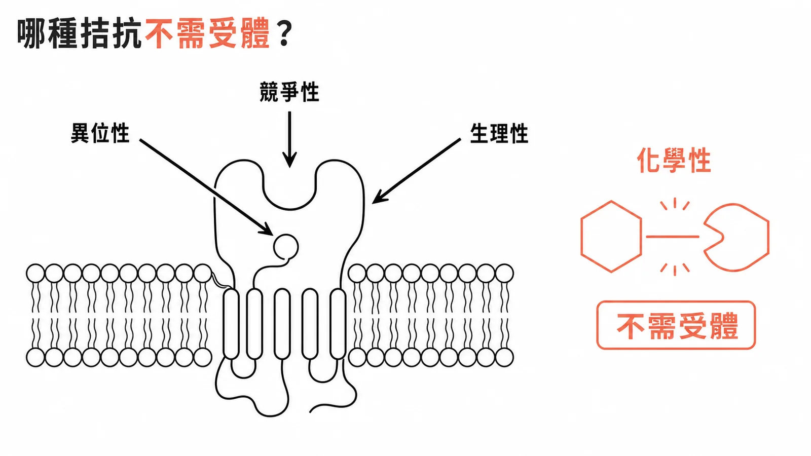 四種拮抗作用比較:化學性拮抗不需受體結合即可產生