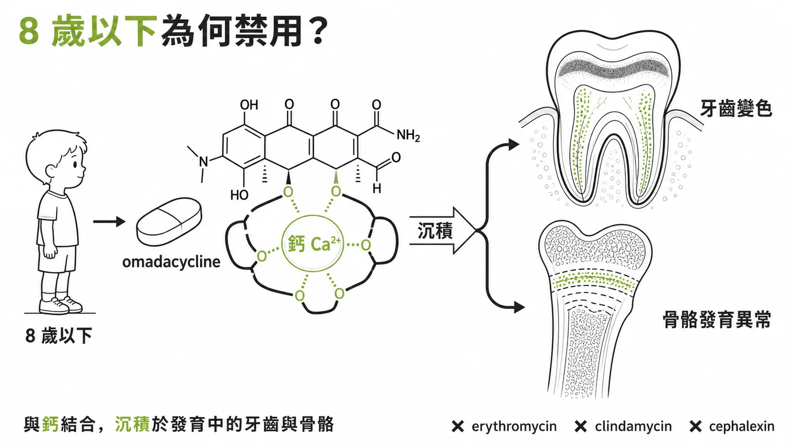 四環黴素與鈣離子螯合後沉積在發育中的牙齒與骨骼，導致 8 歲以下兒童牙齒變色與骨骼發育異常