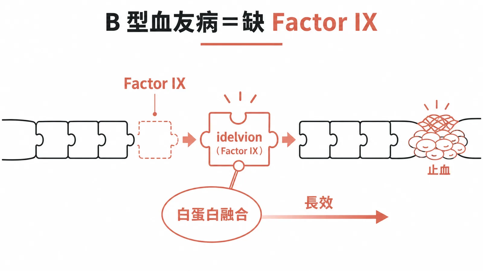 B 型血友病缺乏 Factor IX，idelvion 為長效型第九凝血因子製劑，以白蛋白融合延長半衰期補足缺口達成止血