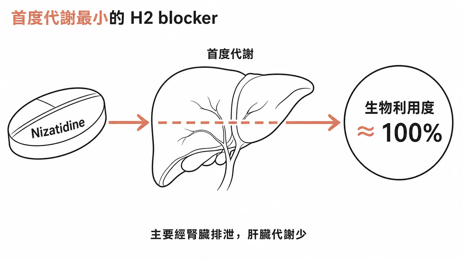 Nizatidine 幾乎不受首渡代謝影響，口服生物利用度接近 100%，主要經腎臟排泄、肝臟代謝少