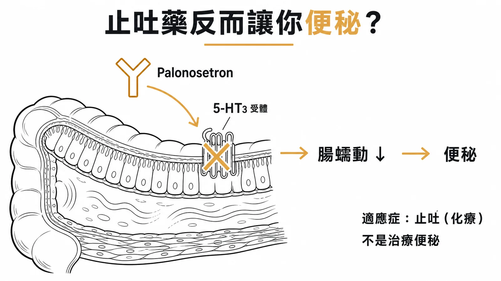 Palonosetron 為 5-HT3 受體拮抗劑，適應症是化療止吐；阻斷 5-HT3 使腸蠕動減慢，反而會造成便秘而非治療便秘
